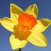 Joyce Curran - Facebook