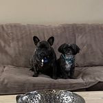 Joyce Matcur - @joyce.curran - Instagram