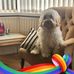 Joyce Cuthbertson - Facebook