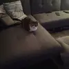 Joyce Cuthbertson - @joyce.cuthbertson - TikTok