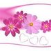 Joyce Daigle - Facebook