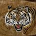 Joyce Daigle - Facebook