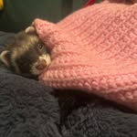 DarcyJoyce Reed - @darcyjoyce28 - Instagram