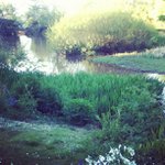 Joyce Darnell - @mixopicti - Instagram