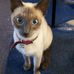 Joyce Dehn Searle - Facebook
