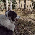 Joyce Deming - @deming4299 - Instagram