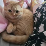 Joyce Derbyshire - @joycederbyshire - Instagram