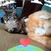 Joyce Dobbins - Facebook