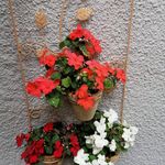 Joyce Dobbs - @joyce_dobbs - Instagram
