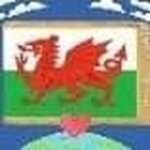 Joyce Doll - @joycedoll - Instagram