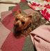 Joyce Rhodenbaugh Dorman - Facebook