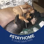Joyce Dover - @dover3442 - Instagram