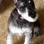 Joyce Dowd - @dowdjoyce - Instagram