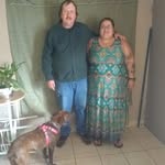 Joyce Dowden - @joycedowden - Instagram
