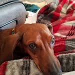 Joyce Dowdy - @joycedowdy55 - Instagram