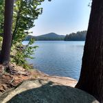 Joyce Downs - @downsj9940 - Instagram