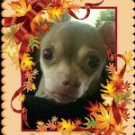 Joyce Dumont Lapera - @joycedumontlapera - Instagram