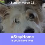 Joyce Dye - @dye9561 - Instagram