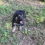 Joyce Dye - @joycedye3772 - Instagram