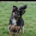 Joyce Earl - Facebook