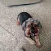 joyceeason7 - @joyceeason7 - TikTok
