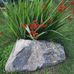Joyce Easter - Facebook