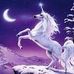 Joyce Eccles - Facebook