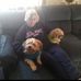 Joyce Eckenrode - Facebook