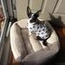 Joyce Edelman - Facebook