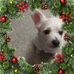 Joyce Eller - Facebook