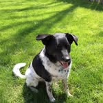 Joyce Elmore - @joyceannelmore - Instagram