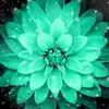 joyceelmore - @joyceelmore - TikTok