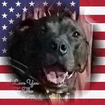 Joyce Engle - @jengle1956 - Instagram