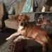 Joyce Engle - Facebook