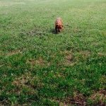 Joyce Engle - @lil_ms_lilly_ - Instagram