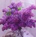 Joyce Engle - Facebook