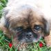 Joyce Howard Ennis - Facebook