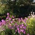 Joyce Erb - Facebook