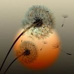 Joyce Ernst - @joyceernst29 - Instagram