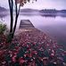 Joyce Estep - Facebook