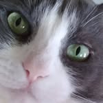Joyce Estep Dillow - @joycedillow - Instagram