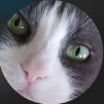Joyce Estep Dillow - @joycedillow_ - Instagram
