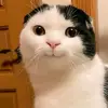 Joyce Estrada - @joyceestradaa - TikTok