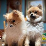 Joyce Ewing - @joyc.ewing - Instagram