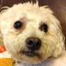 Joyce Faison - Facebook