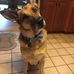 Joyce Farr - Facebook
