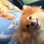 Joyce Fields - @joyce_fields_922864 - Instagram