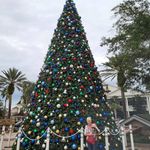 Joyce Fields Messick - @joyce.fields2 - Instagram