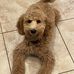 Joyce Finke - Facebook