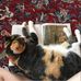 Joyce Flanagan - Facebook